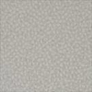 Argento Silk - Fabric