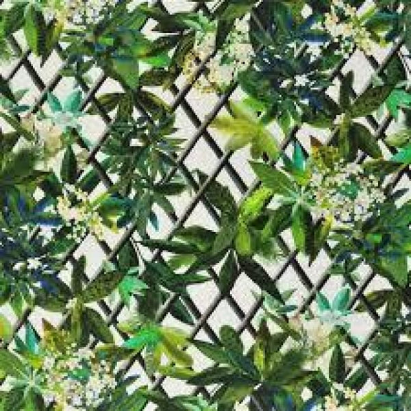 Canopy - Fabric